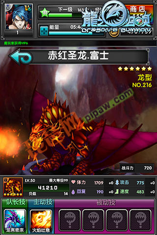 龙之召唤属性